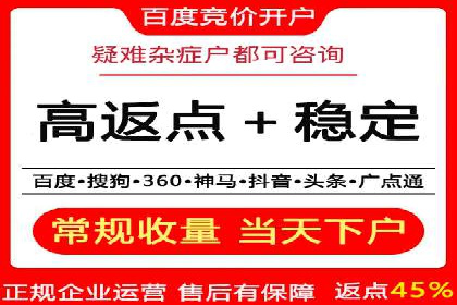 某企业通过SEO和SEM双管齐下实现业绩飞跃的案例